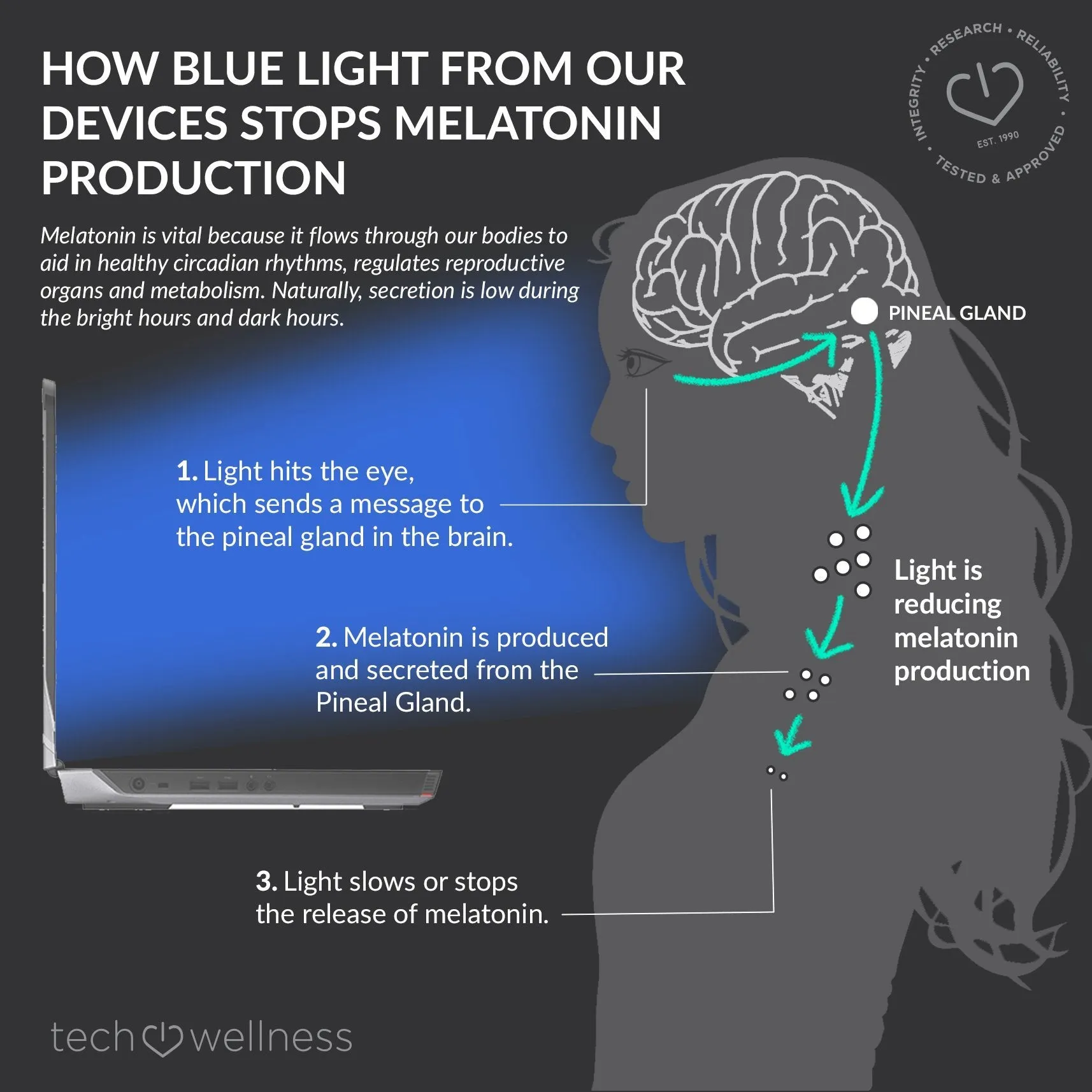 Blue Light Screen Protectors. Protect Privacy and Your Eyes-  Choose Ocushield or Eyejust Best Shields for Nintendo, iPhone, Galaxy, iPad, Laptop and Switch,