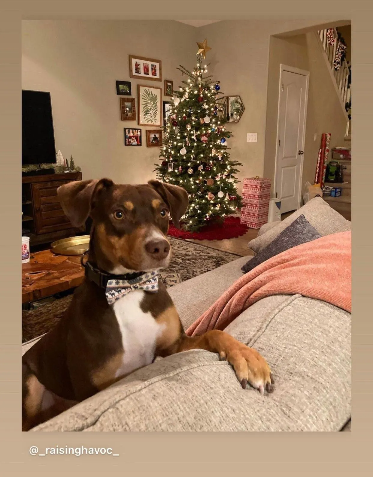 Gray Christmas Sweater Bow Tie for Dog and Cat Collar