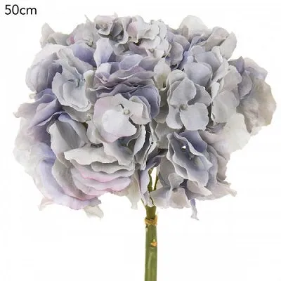 Hydrangea Mophead Light Blue