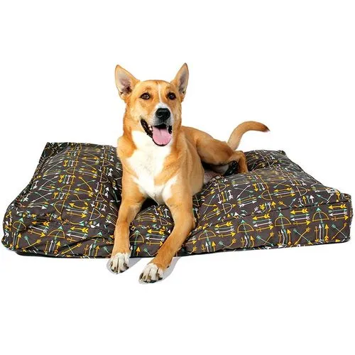 Lion's Roar Refillable Dog Bed